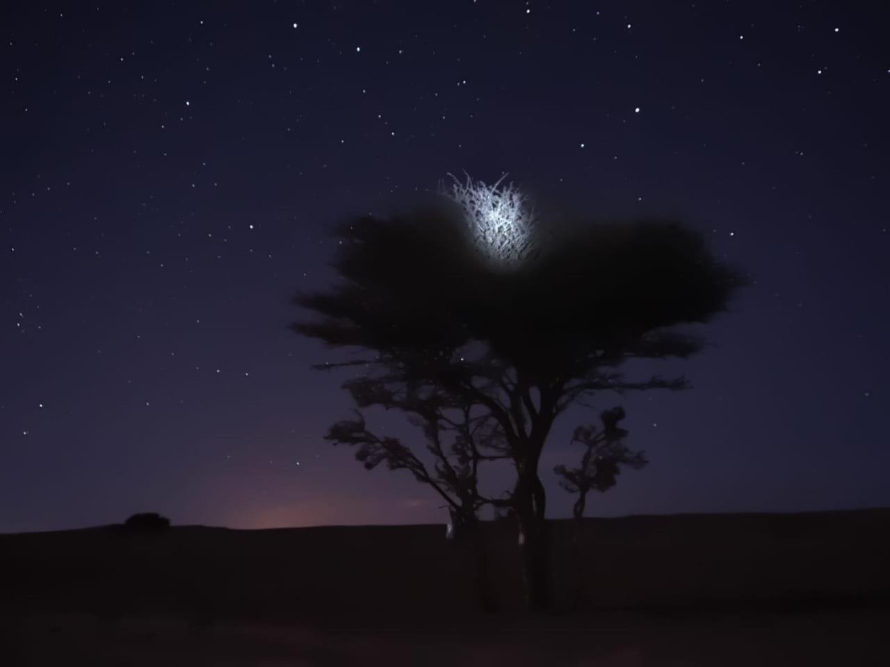 Tuareg Luxury Camp Otel Merzouga Dış mekan fotoğraf